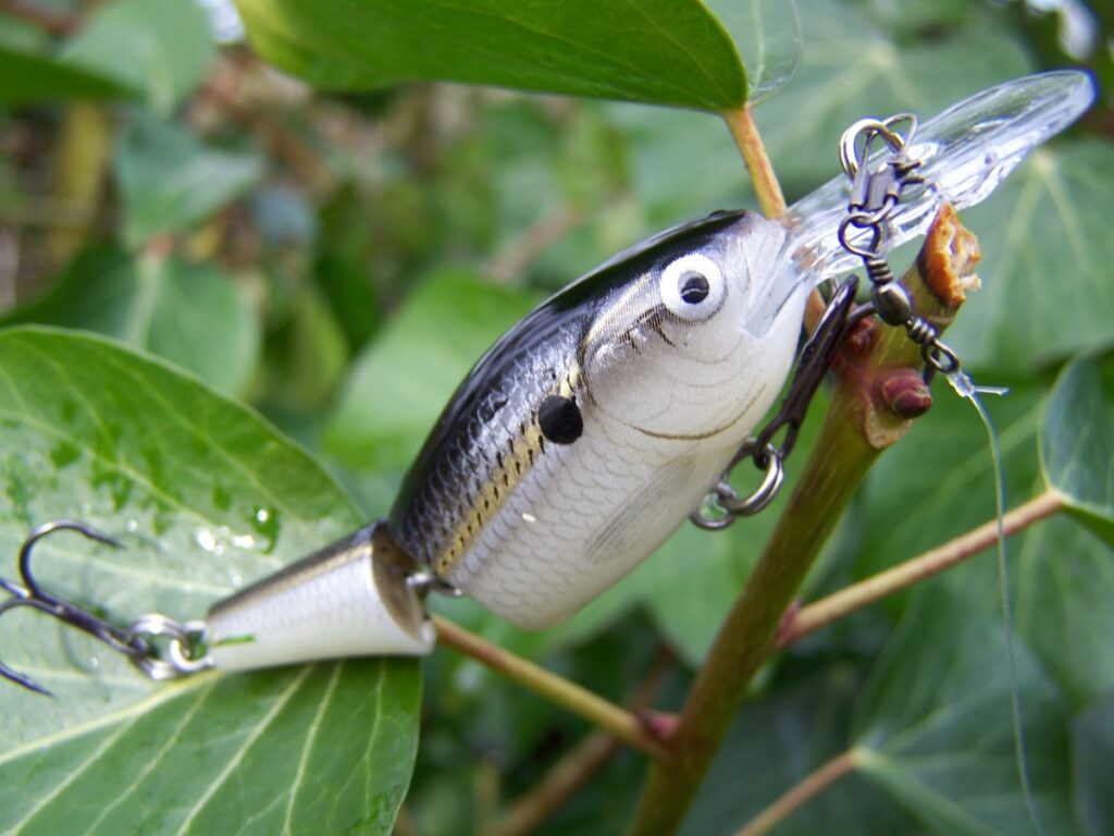 Rapala Jointed Shad Rap 04